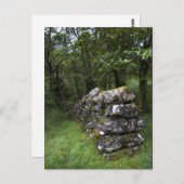 Drystone Wall Briefkaart (Voorkant / Achterkant)