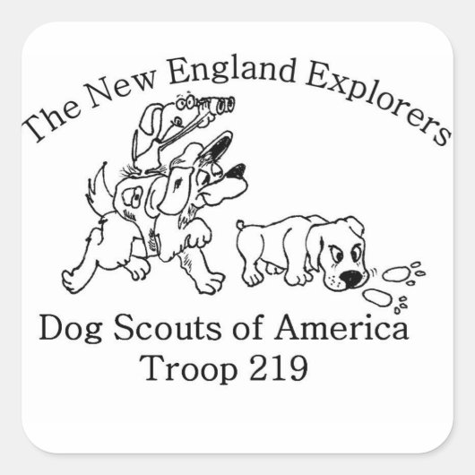 DSA Troop 219 stickers (Voorkant)