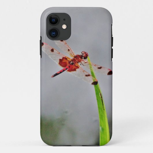 DSC00029.JPG Case-Mate iPhone CASE (Achterkant)