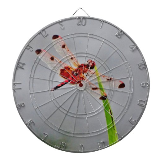 DSC00029.JPG DARTBORD (Voorkant)