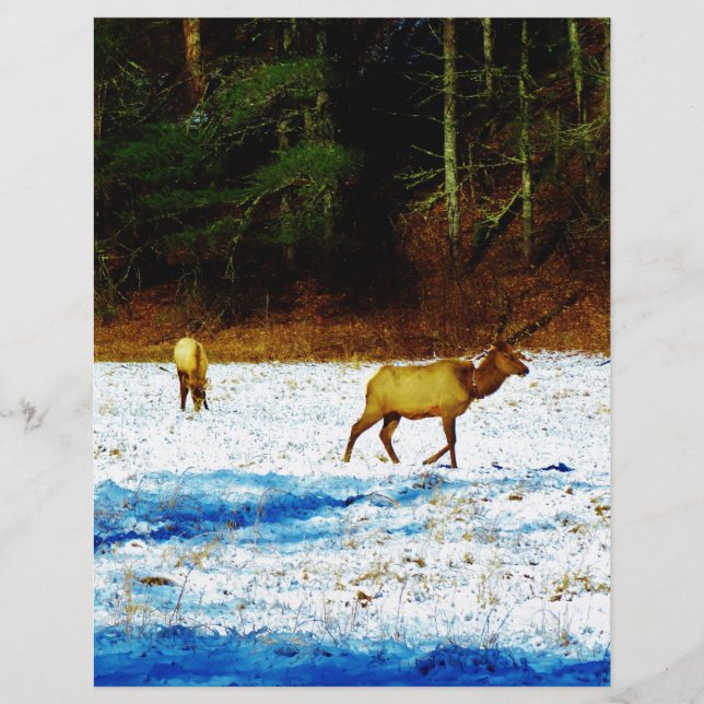 DSC00131.JPG (Voorkant)