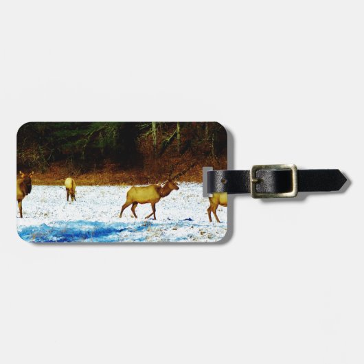 DSC00131.JPG BAGAGELABEL (Voorkant horizontaal)