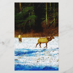 DSC00131.JPG BRIEFPAPIER