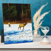 DSC00131.JPG FOTOPLAAT (Zijkant)