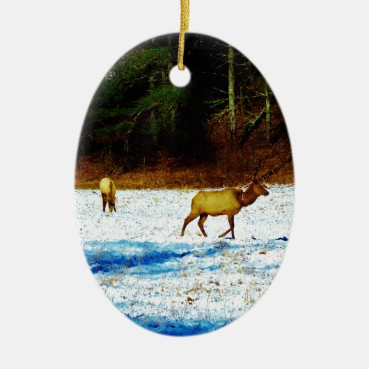 DSC00131.JPG KERAMISCH ORNAMENT (Voorkant)