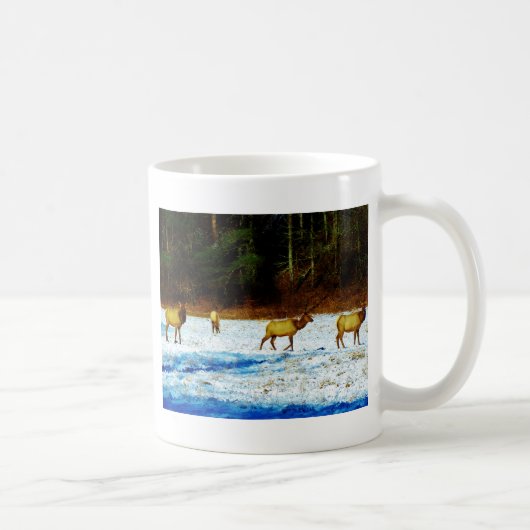 DSC00131.JPG KOFFIEMOK (Rechts)