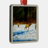 DSC00131.JPG METALEN ORNAMENT (Rechts)