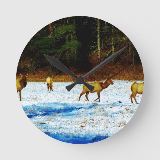 DSC00131.JPG RONDE KLOK (Voorkant)