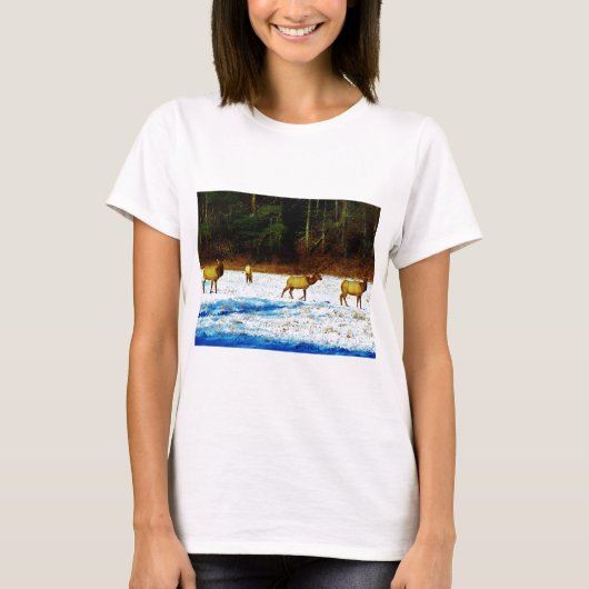 DSC00131.JPG T-SHIRT (Voorkant)