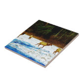 DSC00131.JPG TEGELTJE (Zijkant)