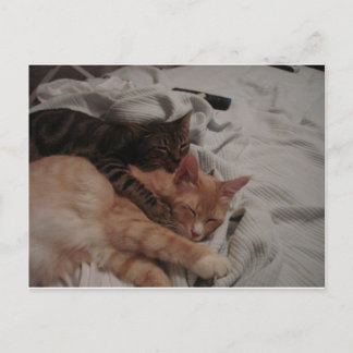 dsc00178[1] (2) briefkaart