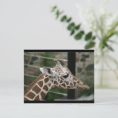 DSC00238 BRIEFKAART (Staand voorkant)