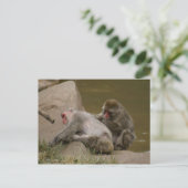 DSC00342 BRIEFKAART (Staand voorkant)