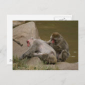 DSC00342 BRIEFKAART (Voorkant / Achterkant)