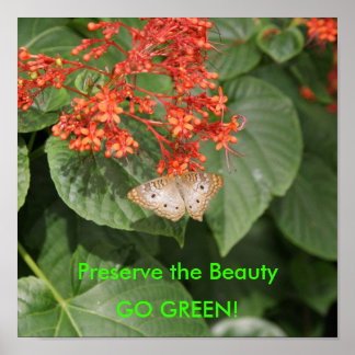 DSC00433, behoud de Schoonheid, GA GROEN! Poster