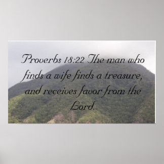 DSC00708, Proverbs 18:22 Het man dat wi... vindt Poster