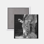 DSC01614 a Magneet (Voorkant / Achterkant)