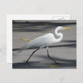 DSC02335 BRIEFKAART (Voorkant / Achterkant)