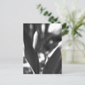 DSC02422 c Briefkaart (Staand voorkant)