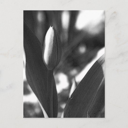 DSC02422 c Briefkaart (Voorkant)