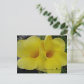 DSC03203, Allamandra Flowers - Cus... - GEPERSONAL Briefkaart (Staand voorkant)