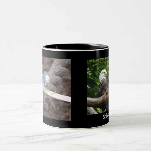 DSC04582, DSC04495, de Mok van Sally (Center)