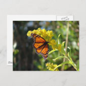 DSC05261 BRIEFKAART (Voorkant / Achterkant)