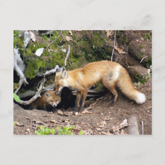 DSC08270-kopie Briefkaart