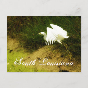 DSC08779bb, Zuid-Louisiana Briefkaart