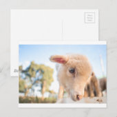 _DSC2491 BRIEFKAART (Voorkant / Achterkant)