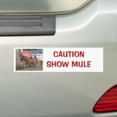 DSC_0007, CAUTIONSHOW MULE BUMPERSTICKER (Op auto)
