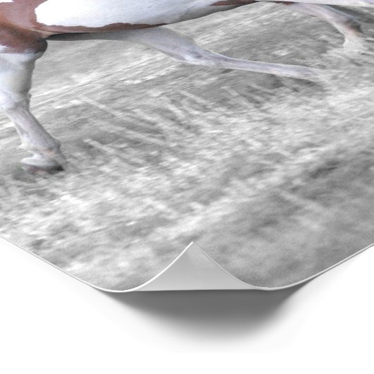 DSC_0110 POSTER (Hoek)