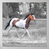 DSC_0110 POSTER (Voorkant)