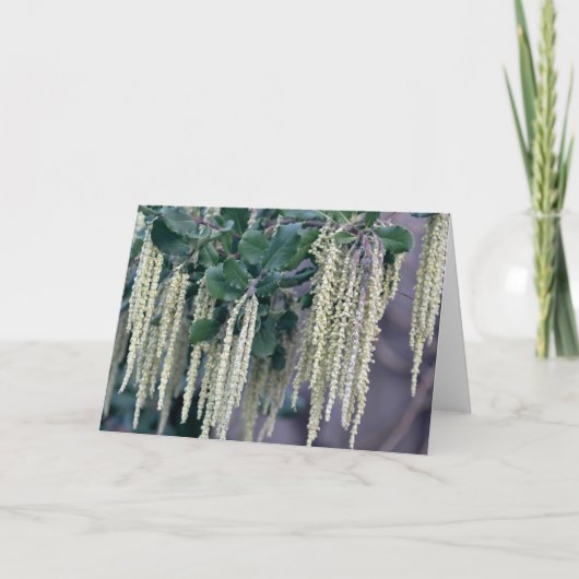 DSC_0119 KAART (Voorkant)