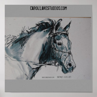 DSC_0462, Dieren. Leven. Art. CarolLakeStudio... Poster