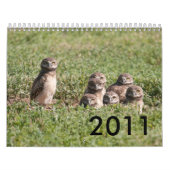 DSC_2816, 2011 KALENDER (Hoes)