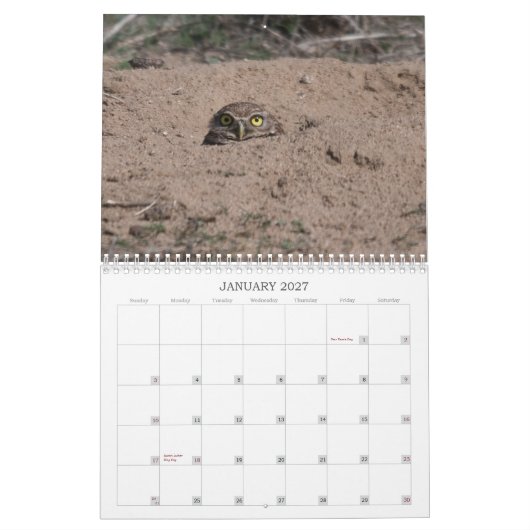 DSC_2816, 2011 KALENDER (Jan 2027)