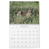 DSC_2816, 2011 KALENDER (Mar 2027)