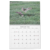 DSC_2816, 2011 KALENDER (Feb 2026)