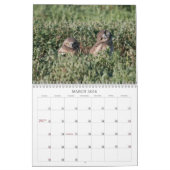 DSC_2816, 2011 KALENDER (Mar 2026)