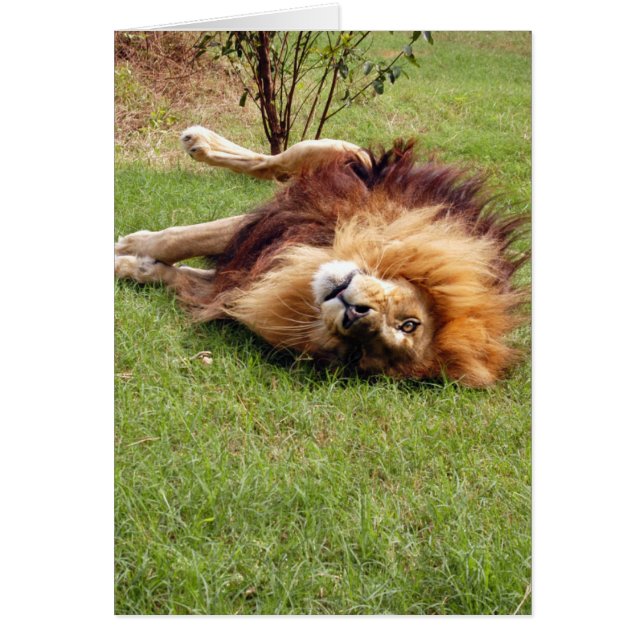 DSC_3914e (Voorkant)