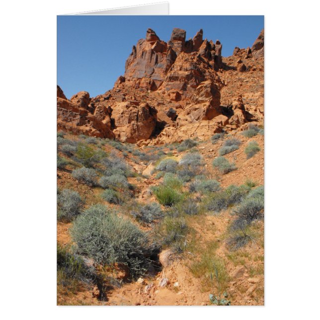 DSCF0344,~in uw woorden~ (Voorkant)