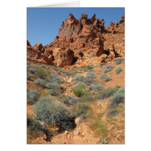 DSCF0344, ~in votre words~