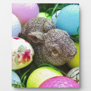 DSCF0438.JPG FOTOPLAAT