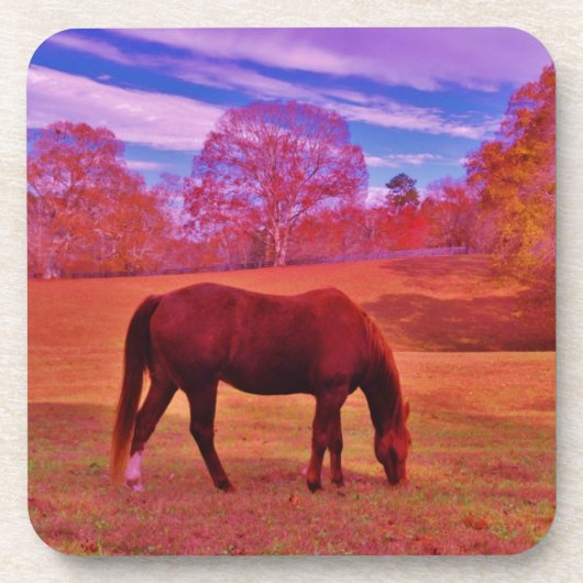 DSCF0536.JPG BIER ONDERZETTER (Voorkant)