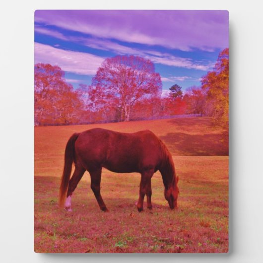 DSCF0536.JPG FOTOPLAAT (Voorkant)