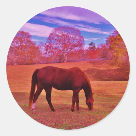 DSCF0536.JPG RONDE STICKER (Voorkant)