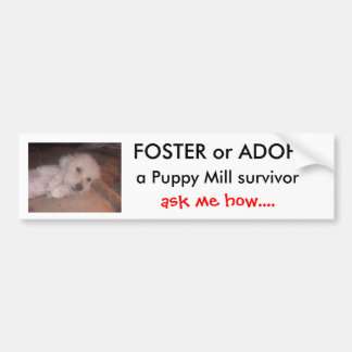 DSCF0636, FOSTER of ADOPT                      ... Bumpersticker