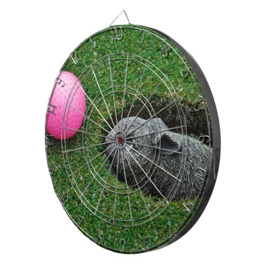 DSCF0652.JPG DARTBORD (Voorkant Rechts)