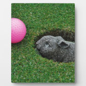 DSCF0652.JPG FOTOPLAAT (Voorkant)